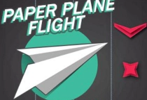 Paper Plane Flight