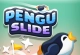 Pengu Slide