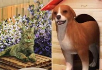 Perfect Companions