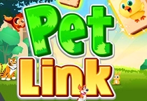 Pet Link