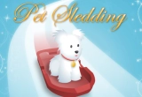 Play Pet Sledding