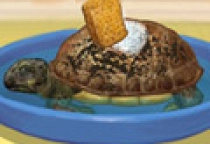 Schildkröten Spiel