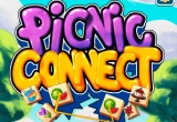 Picnic Connect