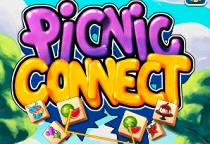Picnic Connect