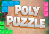 PolyPuzzle