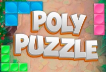 PolyPuzzle