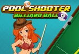 Pool Shooter Billard Ball