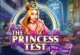 Prinzessinnen Test Wimmelbild
