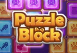 Puzzle Block