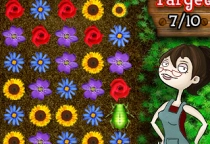 Puzzle Blossum