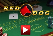 Red Dog Kartenspiel