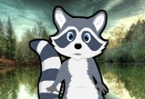 Rescue The Little Raccoon