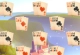 River Solitaire