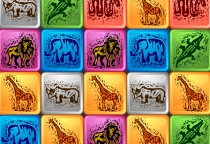 Safari