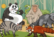 Safari Unterschiede