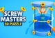 Screw Masters 3D Puzzle