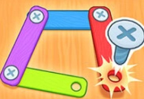 Screw Puzzle Master