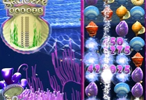 Seashell Squeeze