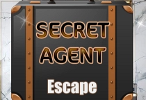 Secret Agent Escape
