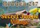 Secret Jungle Village Wimmelbild