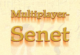 Senet Multiplayer