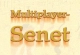 Senet Multiplayer