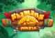 Shamans Jungle