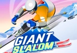 Ski Slalom