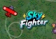 Sky Fighter