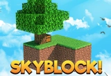 Skyblock Minecraft