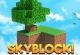 Skyblock Minecraft