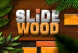 PLAY Slide Wood