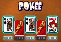 Slingo Pokee