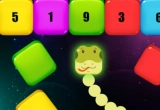 Snake Blocks and Numbers