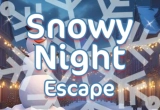 PLAY Snowy Night Escape