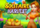 Solitaire Harvest