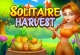 Solitaire Harvest