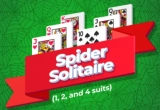 Play Spider Solitaire 1 2 4 Suits