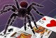 Spider Solitaire 1 Suits