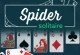 Spider Solitaire 5