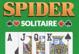 Big Spider Solitaire