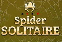 Spider Solitaire Card Game
