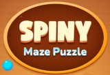 Spiny Maze Puzzle