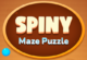 Spiny Maze Puzzle