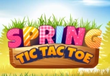 Spring Tic Tac Toe