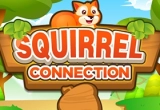 Squirrel Connection