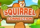 Squirrel Connection