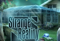 Strange Reality