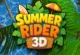 Summer Rider 3D FRVR
