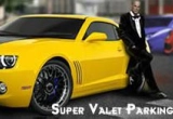 Play Super Valet Parking